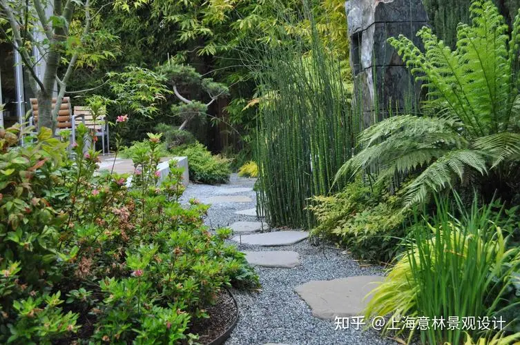 园林管理议题：如何防止植物受到树木的阻挡？