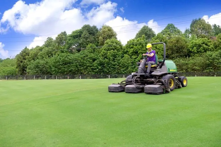 “世界野生动植物日”宣传活动在广州举行 加大物种保护投入 加快资源档案建设