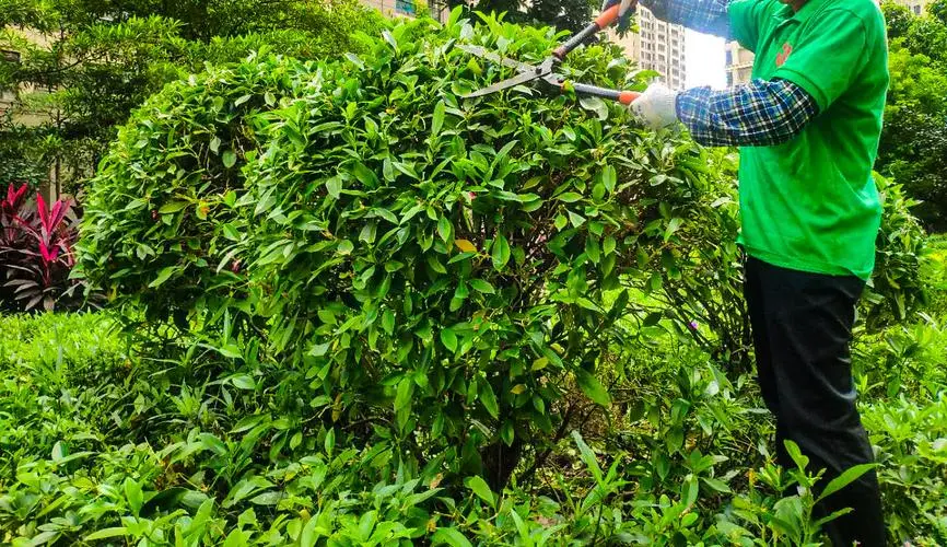500平的园林景观设计